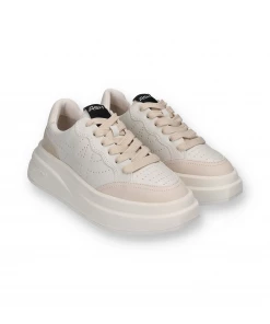 ASH Neaker IMPULS | Shell/White